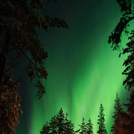 Aurora Arctic By Booklapland 펜션